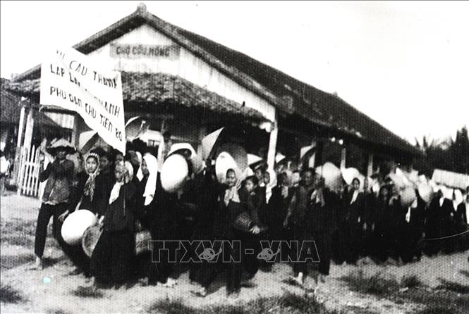 Trong ảnh : 