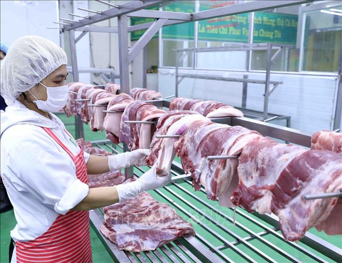 Trong ảnh: Sản phẩm thịt lợn sau khi chế biến được để trên giá đảm bảo vệ sinh thực phẩm. Ảnh: Vũ Sinh - TTXVN