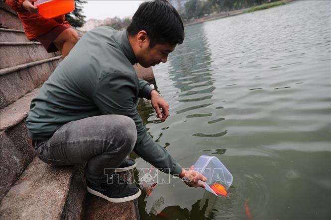Trong ảnh: Người Việt thả cá chép để tiễn đưa ông Táo về trời, cầu mong năm mới bình an, thuận lợi. Ảnh: Thành Đạt - TTXVN
