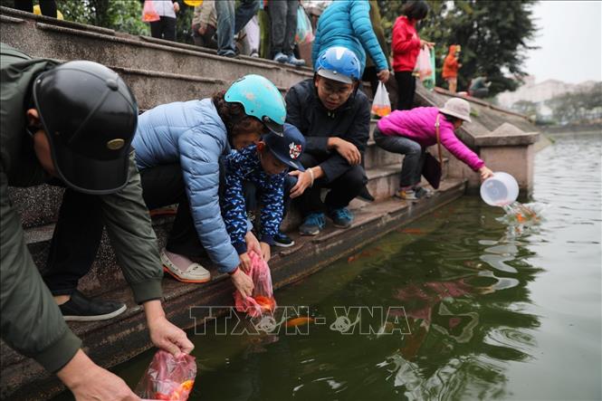Trong ảnh: Người dân thả cá chép để tiễn đưa ông Táo về trời, cầu mong năm mới bình an, thuận lợi tại công viên Nghĩa Đô. Ảnh: Thành Đạt - TTXVN