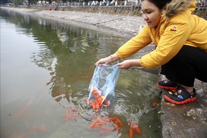 Trong ảnh: Người dân thả cá chép vào ngày 23 tháng Chạp. Ảnh: Minh Quyết - TTXVN