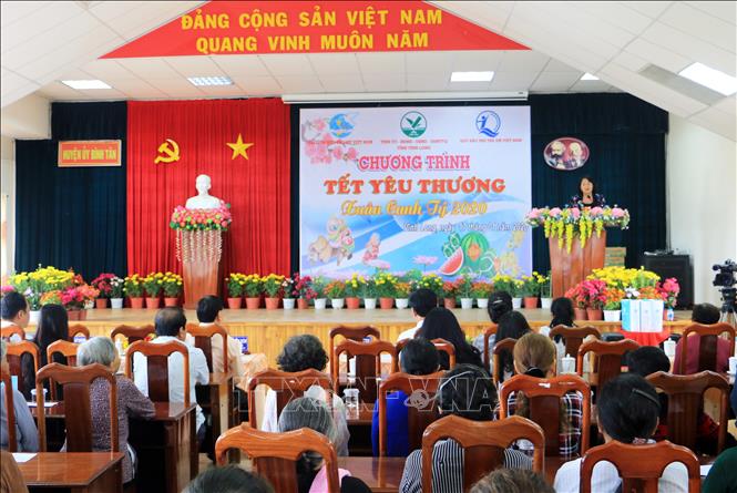 Trong ảnh: Phó Chủ tịch nước Đặng Thị Ngọc Thịnh phát biểu tại chương trình. Ảnh: Phạm Minh Tuấn-TTXVN.