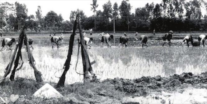 Khắp các địa phương của tỉnh Hưng Yên dấy lên phong trào “tay cày, tay súng và tay búa, tay súng”, “Toàn dân chi viện chiến trường”, đẩy phong trào thi đua “Quyết tâm đánh thắng giặc Mỹ xâm lược” lên cao hơn, rầm rộ và phong phú hơn. Ảnh: Tư liệu/TTXVN phát