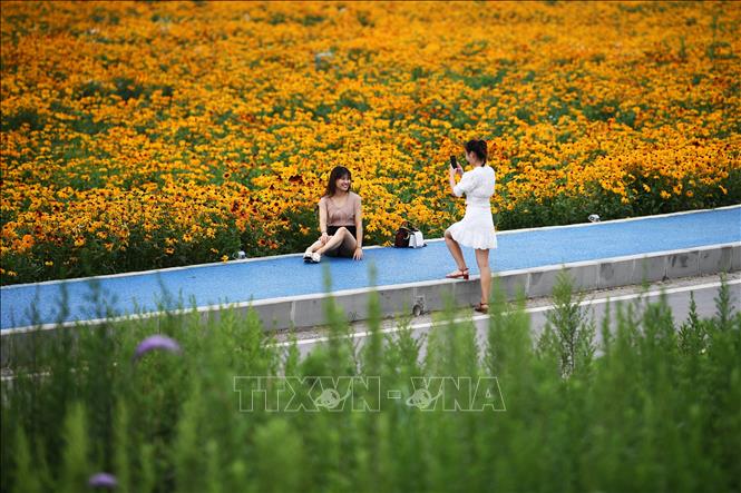 Trong ảnh: Hoa khoe sắc tại công viên ở Trùng Khánh, Trung Quốc. Ảnh: THX/TTXVN