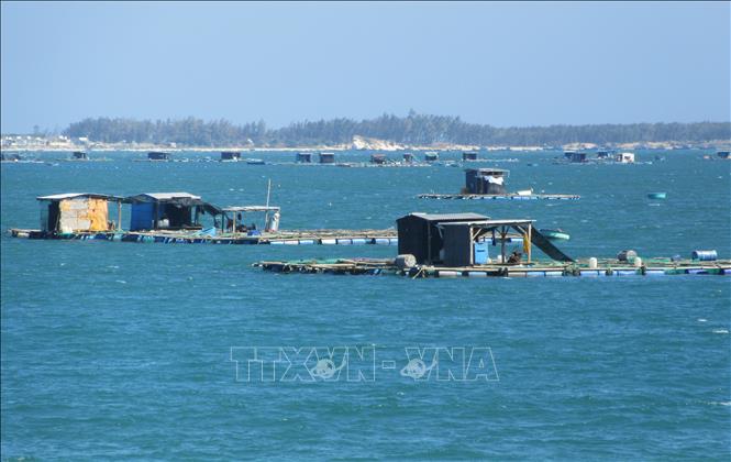 Trong ảnh: Mô hình lồng bè nuôi tôm hùm, cá biển tại khu vực biển huyện Ninh Hải, tỉnh Ninh Thuận. Ảnh: Nguyễn Thành – TTXVN
