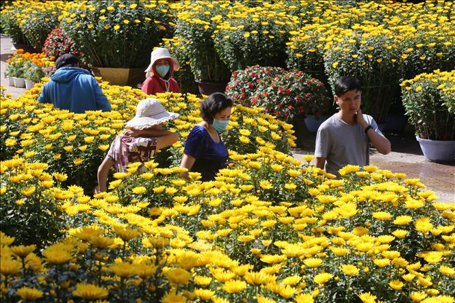 Trong ảnh: Chợ hoa tết tại nhà văn hóa trung tâm thành phố Huế. Ảnh: Hồ Cầu-TTXVN