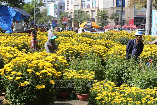 Trong ảnh: Chợ hoa tết tại nhà văn hóa trung tâm thành phố Huế. Ảnh: Hồ Cầu-TTXVN