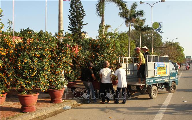 Trong ảnh: Nhộn nhịp chợ hoa Tết 2020. Ảnh: Văn Tý-TTXVN