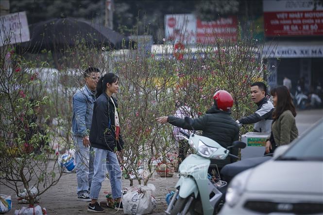 Trong ảnh: Một điểm bán đào và quất cảnh nhộn nhịp ở ngay phía trước quảng trường Hòa Bình. Ảnh: Trọng Đạt-TTXVN