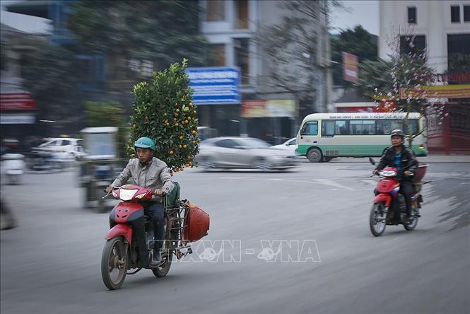 Trong ảnh: Người dân vận chuyển đào, quất trên đường. Ảnh: Trọng Đạt-TTXVN