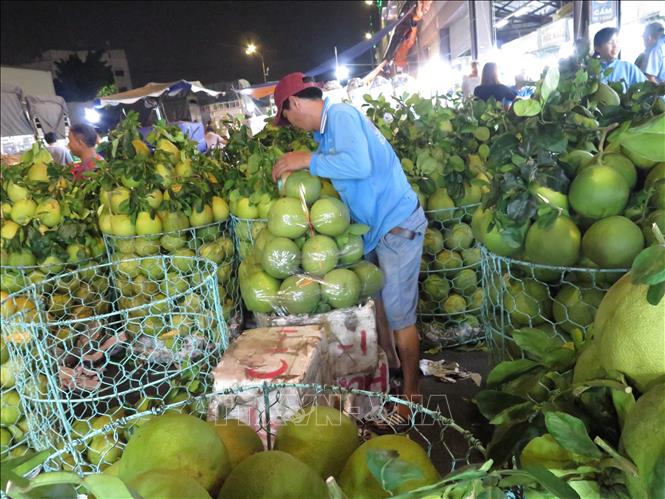 Trong ảnh: Nhân viên vựa bưởi da xanh cân hàng cho khách tại chợ đầu mối Thủ Đức. Ảnh: Hồng Nhung - TTXVN 