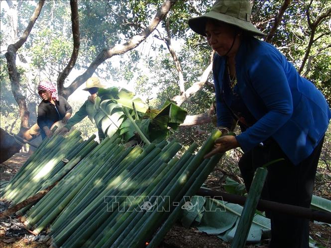 Trong ảnh: Người dân tộc S’tiêng huyên biên giới Bù Gia Mập nấu cơm lam. Ảnh: K GỬIH -TTXVN
