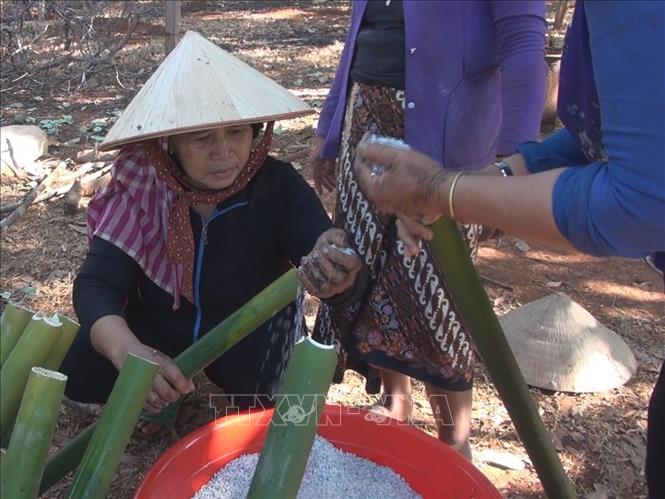 Trong ảnh: Người dân tộc S’tiêng huyên biên giới Bù Gia Mập nấu cơm lam. Ảnh: K GỬIH -TTXVN
