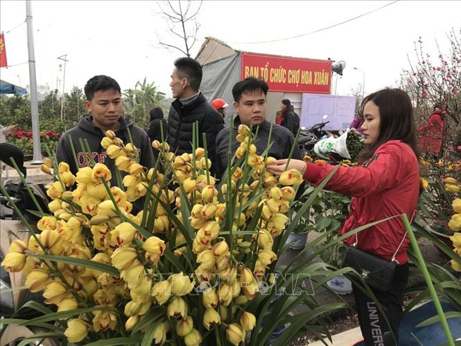 Trong ảnh: Người dân chọn mua hoa tại phường Tân Bình, thành phố Hải Dương. Ảnh: Mạnh Minh- TTXVN
