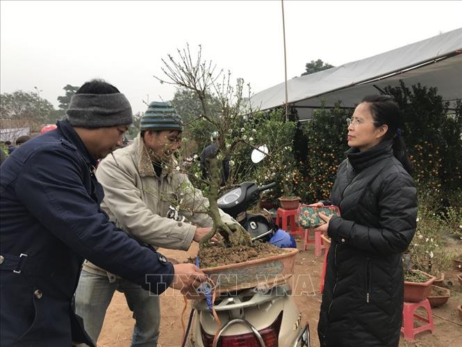 Trong ảnh: Người dân mua mai thế tại phường Lê Thanh Nghị, thành phố Hải Dương. Ảnh: Mạnh Minh- TTXVN