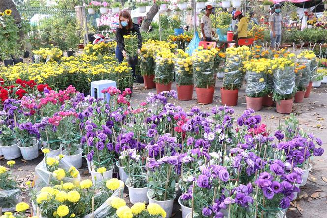 Trong ảnh :  Chợ hoa thành phố Cao Lãnh
Ảnh : Nguyễn Văn Trí - TTXVN