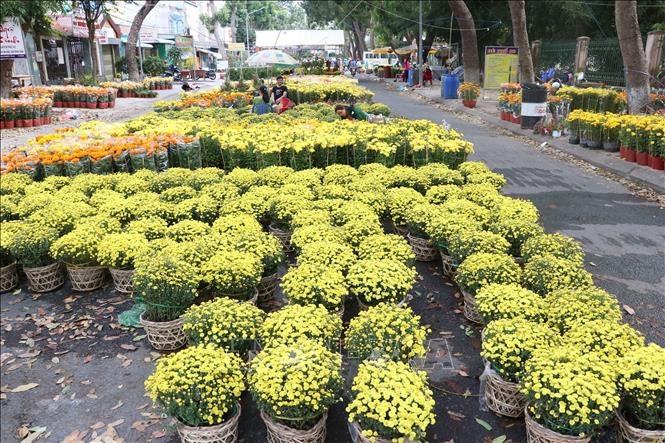 Trong ảnh :  Cúc mâm xôi tại Chợ hoa thành phố Cao Lãnh
Ảnh : Nguyễn Văn Trí - TTXVN