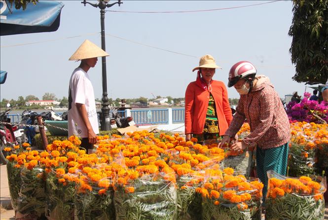 Người dân mua sắm hoa kiểng tại Chợ hoa thành phố Vĩnh Long. Ảnh: Lê Thúy Hằng-TTXVN