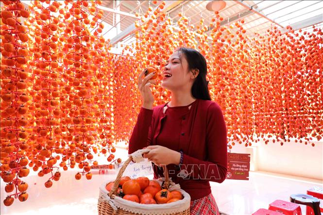 Trong ảnh: Sản phẩm hồng treo trong nhà tại cơ sở hồng sấy Lễ Vân, Đà Lạt (Lâm Đồng). Ảnh: TTXVN