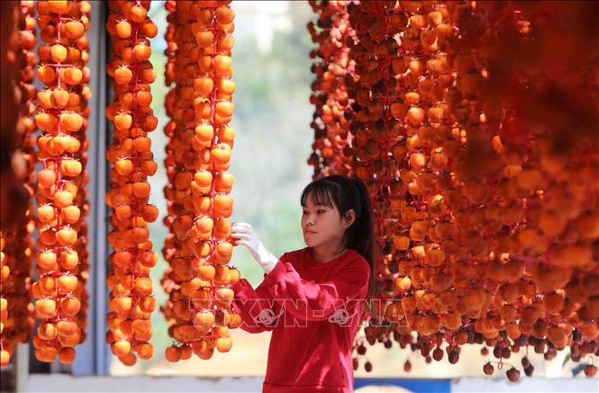 Trong ảnh: Sản phẩm hồng treo trong nhà tại cơ sở hồng sấy Lễ Vân, Đà Lạt (Lâm Đồng). Ảnh: TTXVN