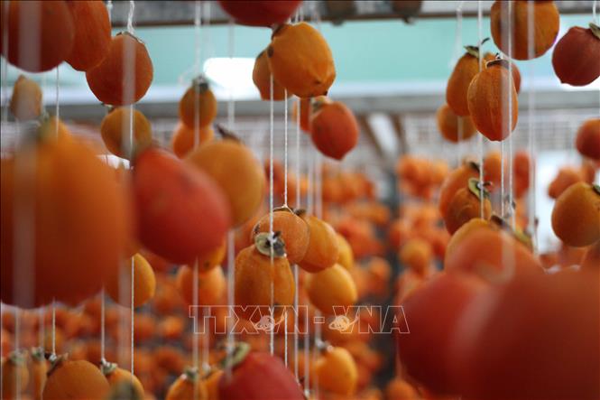 Trong ảnh: Nhà máy hồng sấy treo công nghệ Nhật Bản tại Đà Lạt (Lâm Đồng). Ảnh: TTXVN