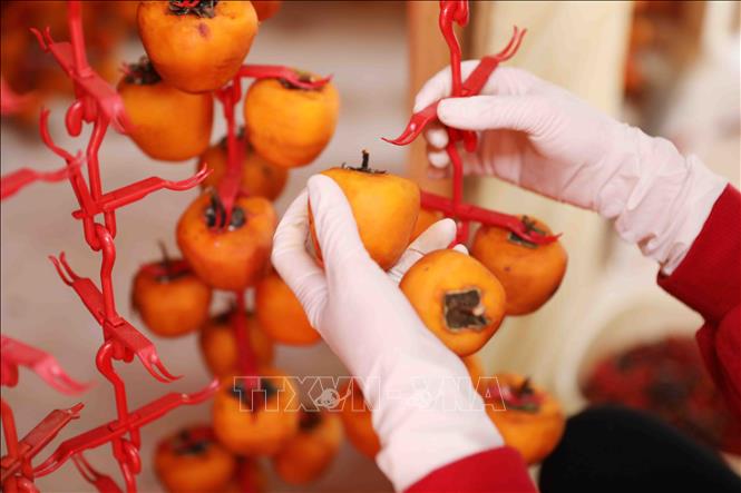 Trong ảnh: Sản phẩm hồng treo trong nhà tại cơ sở hồng sấy Lễ Vân, Đà Lạt (Lâm Đồng). Ảnh: TTXVN