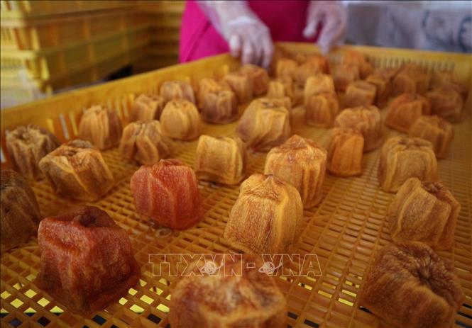 Trong ảnh: Độc đáo hồng sấy dẻo bằng công nghệ Hàn Quốc tại Đà Lạt (Lâm Đồng). Ảnh: TTXVN