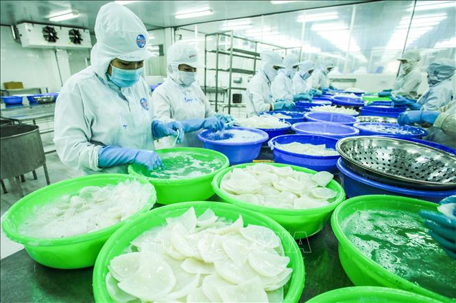 Các mặt hàng Việt Nam xuất khẩu chủ yếu sang Nga bao gồm: điện thoại, máy vi tính, sản phẩm điện tử, hàng dệt may, giày dép, thủy sản. Trong ảnh: Thủy sản là một trong 2 mặt hàng xuất khẩu của Việt Nam (cùng với dệt may) rất được người Nga ưa chuộng. Ảnh: TTXVN