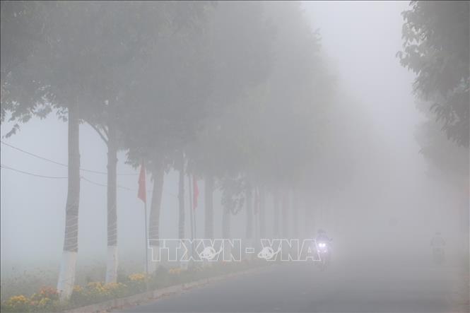 Sương mù dày đặc tại nhiều khu vực của đồng bằng sông Cửu Long - Ảnh thời sự trong nước - Văn hoá & Xã hội - Thông tấn xã Việt Nam (TTXVN)