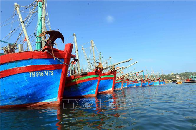 Trong ảnh: Tàu thuyền đậu tại âu cảng Bạch Long Vĩ. Ảnh: An Đăng - TTXVN