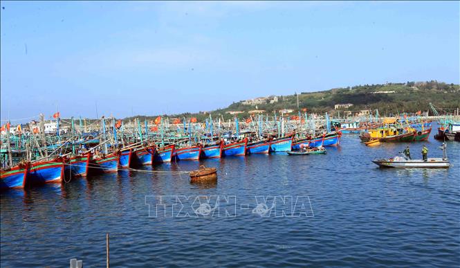 Trong ảnh: Tàu thuyền đậu tại âu cảng Bạch Long Vĩ. Ảnh: An Đăng - TTXVN