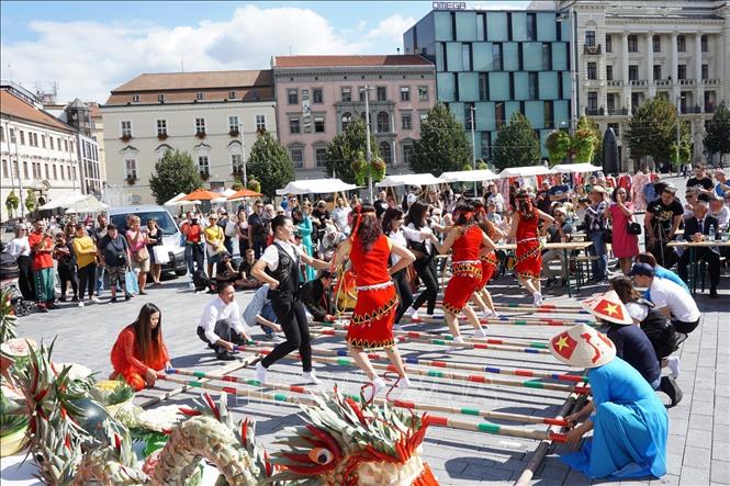 Trong ảnh: Lễ hội “Ngày Văn hóa Việt Nam” tại thành phố Brno - thủ phủ vùng Nam Morava (CH Séc). Ảnh: Hồng Kỳ - TTXVN 