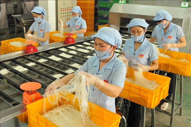 Ba Lan là một trong những đối tác thương mại hàng đầu của Việt Nam tại Đông Âu. Việt Nam xuất khẩu sang Ba Lan chủ yếu các nhóm hàng máy vi tính, sản phẩm điện tử và linh kiện; Máy móc, thiết bị, dụng cụ, phụ tùng; Hàng dệt, may; Sản phẩm từ sắt thép; Sản phẩm nhựa…Trong ảnh: Dây chuyền sản xuất phở gói ăn liền tại nhà máy của Công ty Cổ phần Lương thực Thực phẩm Colusa – MILIKET (TP. Hồ Chí Minh), xuất khẩu sang nhiều thị trường, trong đó có Ba Lan. Ảnh: An Hiếu - TTXVN