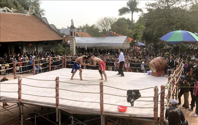 Trong ảnh: Đông đảo khán giả địa phương và các vùng lân cận đến cổ vũ cho các đôi vật tại lễ hội. Ảnh: An Đăng - TTXVN