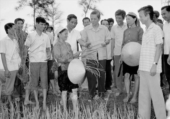 7. Tổng Bí thư Nguyễn Văn Linh. Tháng 12/1986, tại Đại hội đại biểu toàn quốc lần thứ VI của Đảng, đồng chí Nguyễn Văn Linh được bầu làm Tổng Bí thư. Trong ảnh: Tổng Bí thư Nguyễn Văn Linh thăm cánh đồng lúa Hợp tác xã Hải Vân, huyện Hải Hậu trong chuyến về thăm và làm việc tại tỉnh Hà Nam Ninh từ ngày 25 đến 29/5/1988. Ảnh: Xuân Lâm - TTXVN