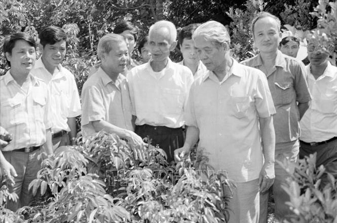 8. Tổng Bí thư Đỗ Mười. Tháng 6/1991, tại Đại hội đại biểu toàn quốc lần thứ VII, đồng chí Đỗ Mười được bầu giữ chức Tổng Bí thư. Tháng 6/1996, tại Đại hội đại biểu toàn quốc lần VIII, đồng chí tiếp tục giữ chức vụ Tổng Bí thư. Trong ảnh: Tổng Bí thư Đỗ Mười thăm một hộ làm kinh tế giỏi ở thị trấn Chũ, huyện Lục Ngạn, tỉnh Bắc Giang (tháng 9/1994). Ảnh: Xuân Lâm - TTXVN