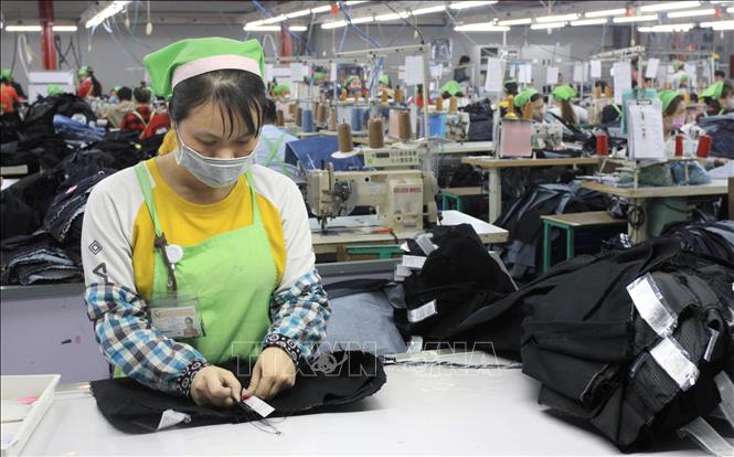 Trong ảnh: Công nhân sản xuất các sản phẩm tại Công ty TNHH may Texhong. Ảnh: Thế Duyệt – TTXVN 