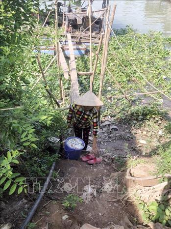 Trong ảnh: Người dân với bỏ số cá chết trong các lồng bè nhằm hạn chế cá chết tiếp tục. Ảnh: Công Mạo-TTXVN