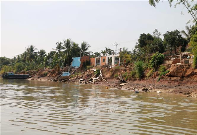 Trong ảnh: Khu vực sạt lở dọc theo kênh Xáng Tân An, thuộc xã Tân An, thị xã Tân Châu. Ảnh: Công Mạo-TTXVN