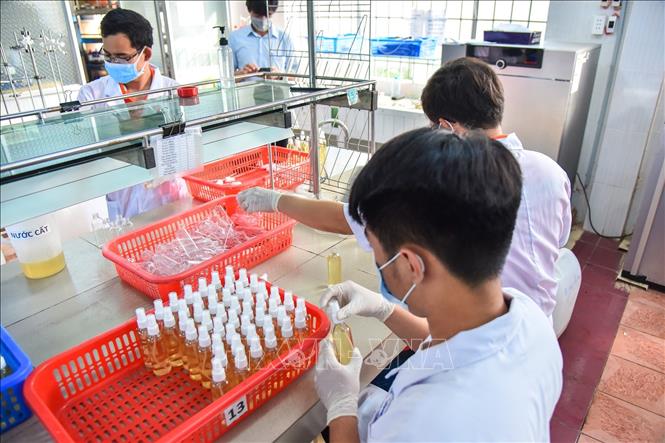 Trong ảnh: Giảng viên, sinh viên Khoa Dược, Trường đại học Lạc Hồng tiến hành pha chế nước rửa tay sát khuẩn phòng dịch nCoV. Ảnh: Lê Xuân-TTXVN