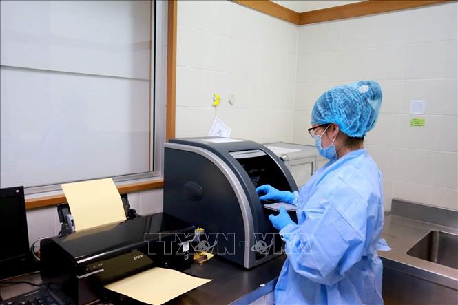 Trong ảnh: Y, bác sỹ Bệnh viện Trung ương Huế thực hiện xét nghiệm nCoV. Ảnh: Mai Trang/TTXVN