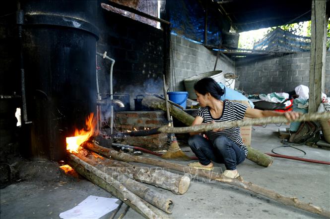 Sami haroshi poza jinsiy aloqa