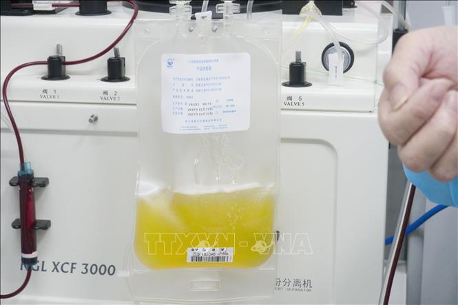 Trong ảnh: Huyết tương của một bệnh nhân nhiễm COVID-19 sau khi được điều trị khỏi bệnh, tại Trung tâm hiến máu Vũ Hán, tỉnh Hồ Bắc, Trung Quốc, ngày 17/2/2020. Ảnh: THX/ TTXVN