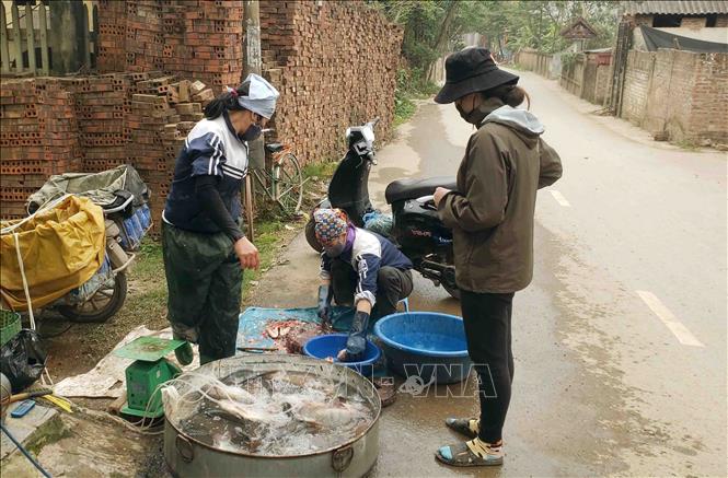 Trong ảnh: Địa điểm bán hàng thủy sản tại thôn Lương Câu, xã Sơn Lôi. Ảnh: Hoàng Hùng - TTXVN 