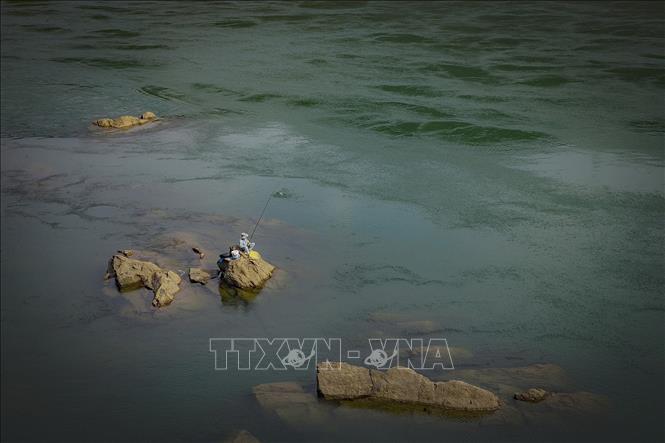 Trong ảnh: Một 