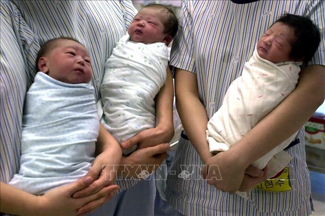 Trong ảnh: Trẻ sơ sinh tại một bệnh viện ở Seoul, Hàn Quốc. Ảnh: AFP/TTXVN