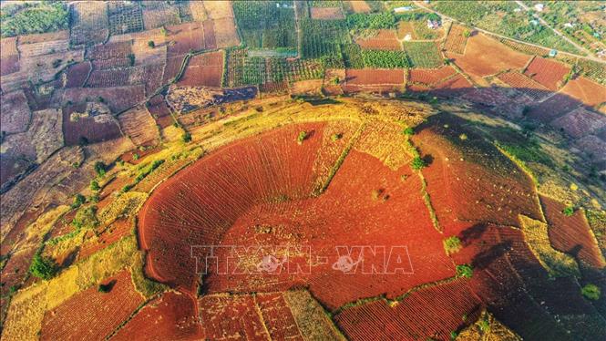 Trong ảnh: Cách trung tâm Gia Lai khoảng 30 km về hướng đông bắc, thuộc địa phận huyện Chư Pah mỗi mùa núi lửa Chư Đăng Ya mang một sắc màu riêng. Ảnh: Thành Đạt - TTXVN