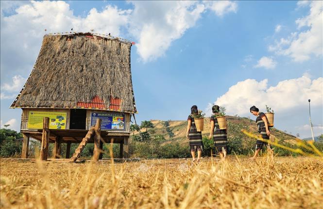 Trong ảnh: Vẻ đẹp hùng vĩ của núi rừng Gia Lai với hình ảnh nhà rông và núi lửa Chư Đăng Ya. Ảnh: Thành Đạt - TTXVN