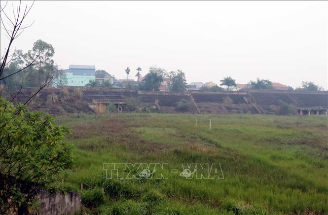 Trong ảnh: Bên trong hoang tàn, cỏ mọc um tùm của Sân Vận động Gang thép. Ảnh: Quân Trang-TTXVN