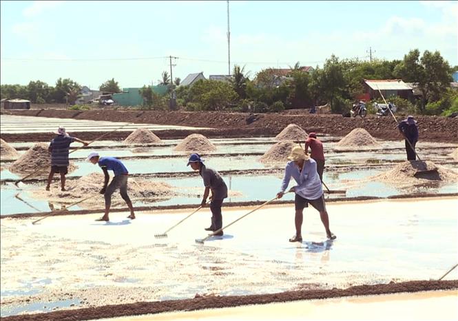 Trong ảnh: Diêm dân Vĩnh Châu (tỉnh Sóc Trăng) thu hoạch muối. Ảnh: Chanh Đa - TTXVN